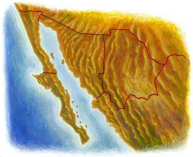En esta imagen vemos una parte de un mapa de la República, son los lugares donde habita el berrendo: Baja California, Sonora y Chihuahua.