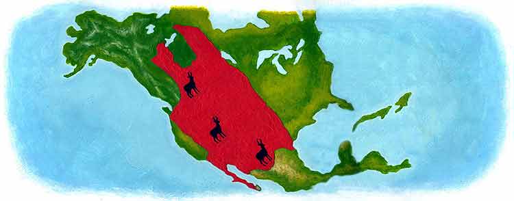Esta es la imagen de un mapa de Canadá y Estados Unidos de Norte América, ya que también habita en el suroeste de Canadá y el Sur de E.U.A.